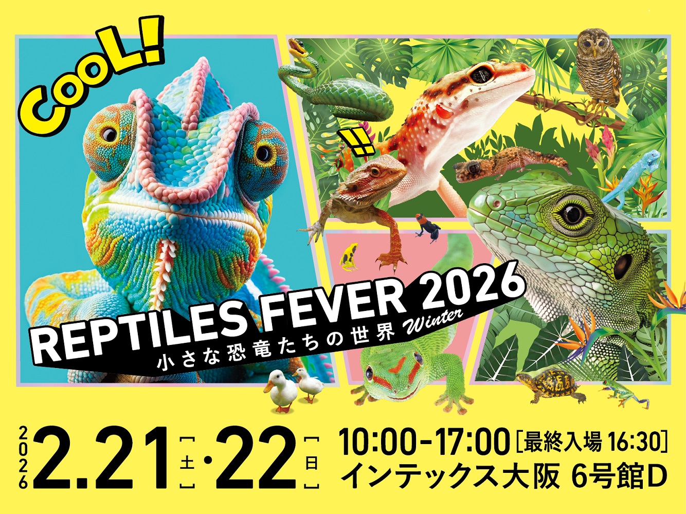 レプタイルズフィーバー 2026 Winter ~小さな恐竜たちの世界~のコピー